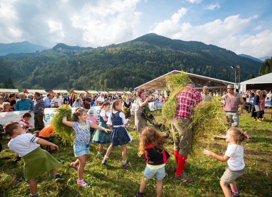Festa agricoltura e desmalgada Val di Peio Trentino