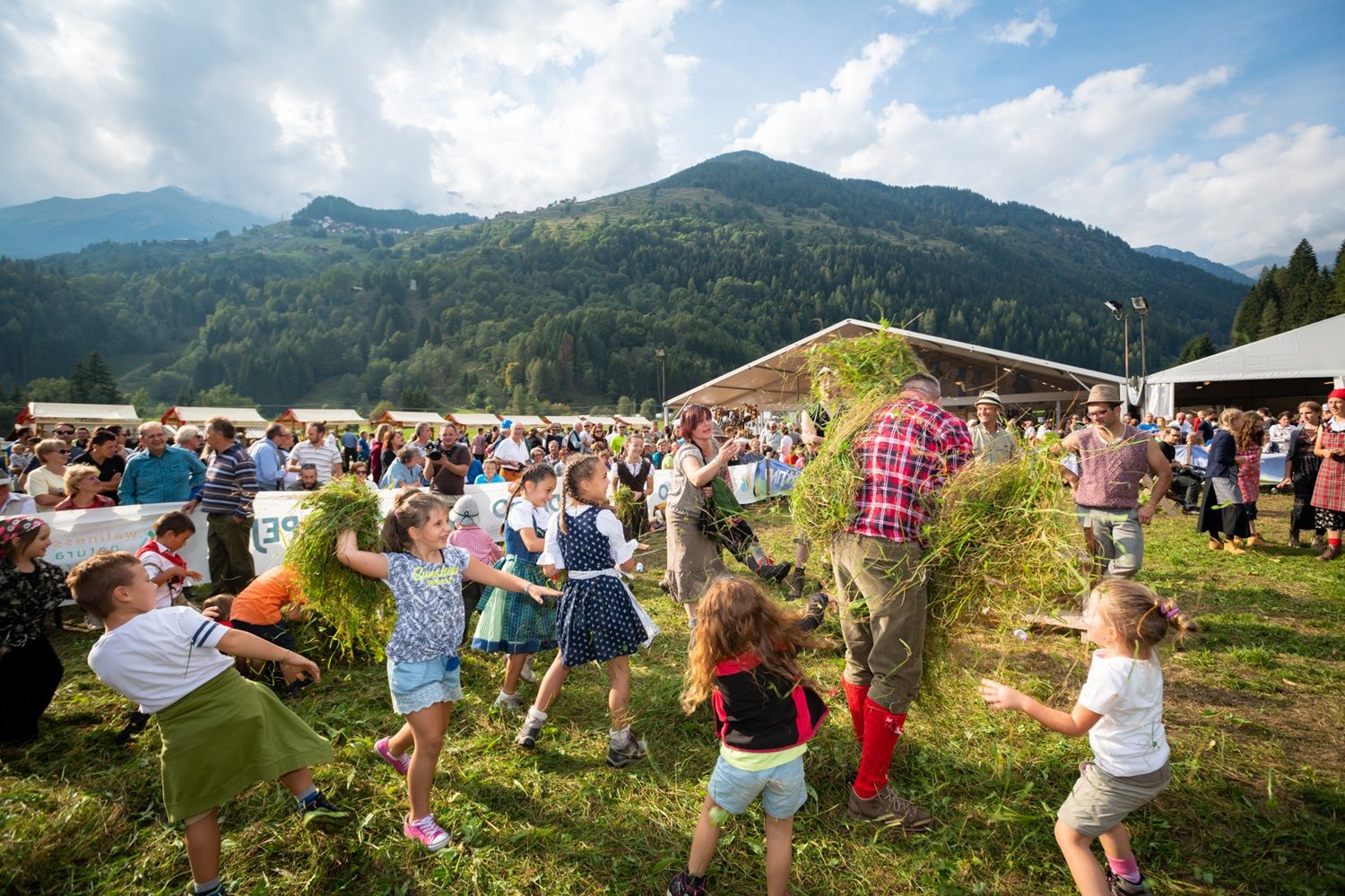 Festa agricoltura e desmalgada Val di Peio Trentino
